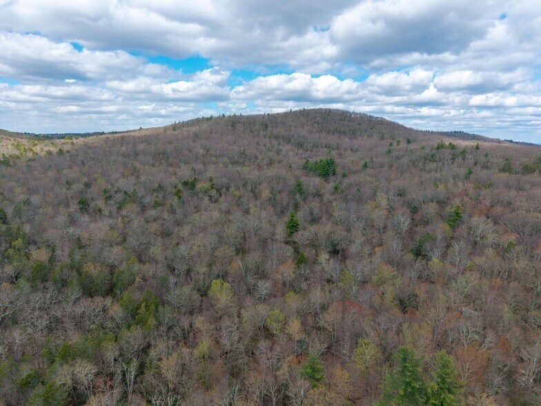 More Photos Of 291 Fomer Road, Southampton Land For Sale