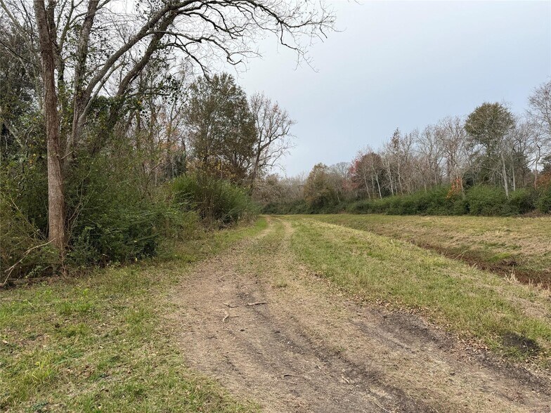 More Photos Of 8007 FM 1960, Dayton Land For Sale