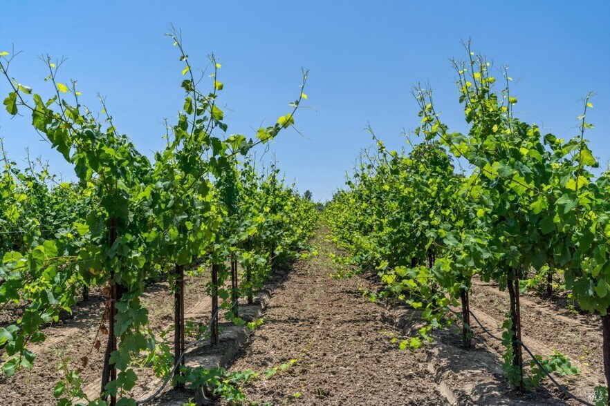 More Photos Of 1580 Magnolia Dr, Healdsburg Land For Sale