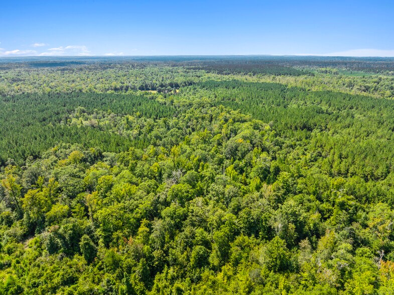 More Photos Of 7471 Highway 155, Saline Land For Sale