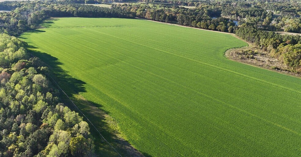 More Photos Of Ferry Lake rd, Tifton Land For Sale
