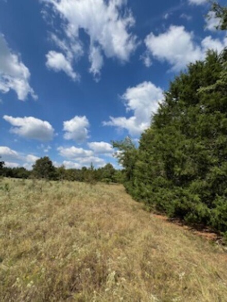 More Photos Of 21805 U.S. HWY 69S hwy, Bullard Land For Sale