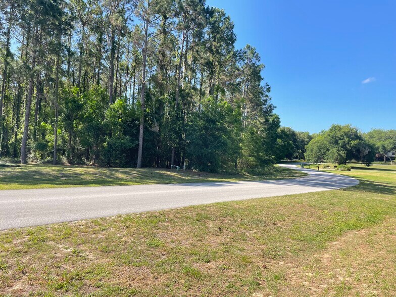 More Photos Of 31004 Secretariat Trl, Leesburg Land For Sale