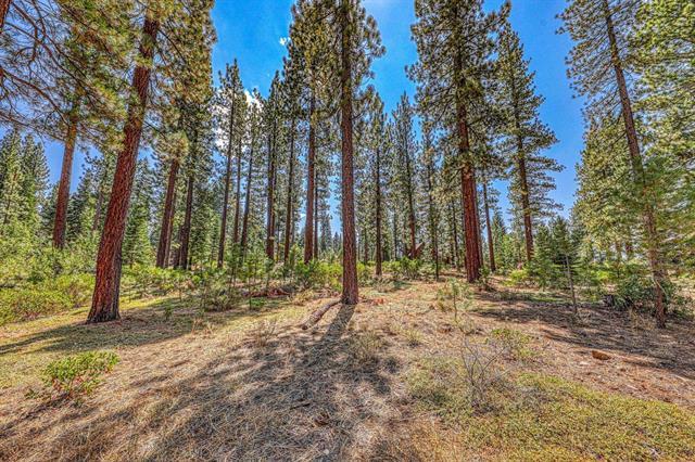 Primary Photo Of 12337 Garwood Dean, Truckee Land For Sale