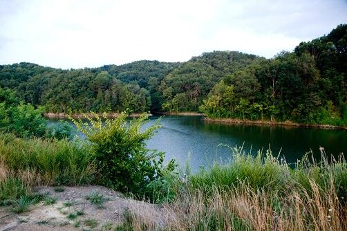 More Photos Of 500 Huff Hollow Rd, Newport Land For Sale