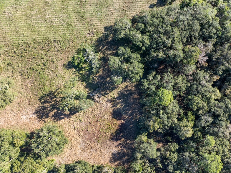 More Photos Of 4558 S Ridgewood Ave, Edgewater Land For Sale