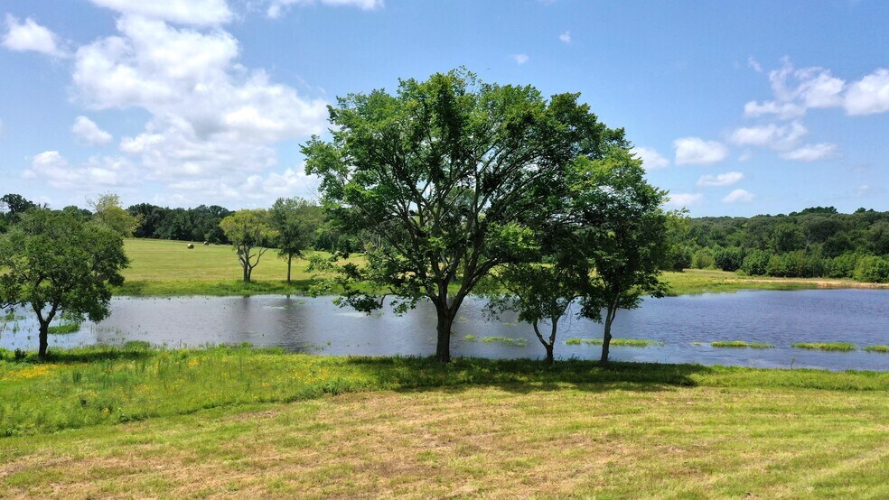 More Photos Of 13530 FM 773, Ben Wheeler Land For Sale