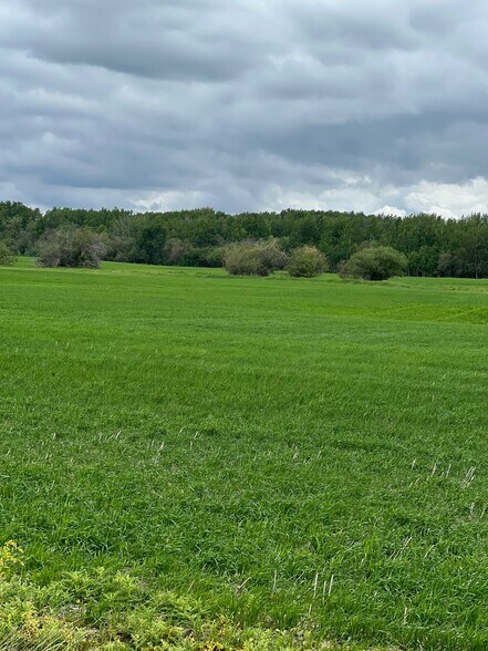 More Photos Of 714002 Range Road 85, Wembley Land For Sale