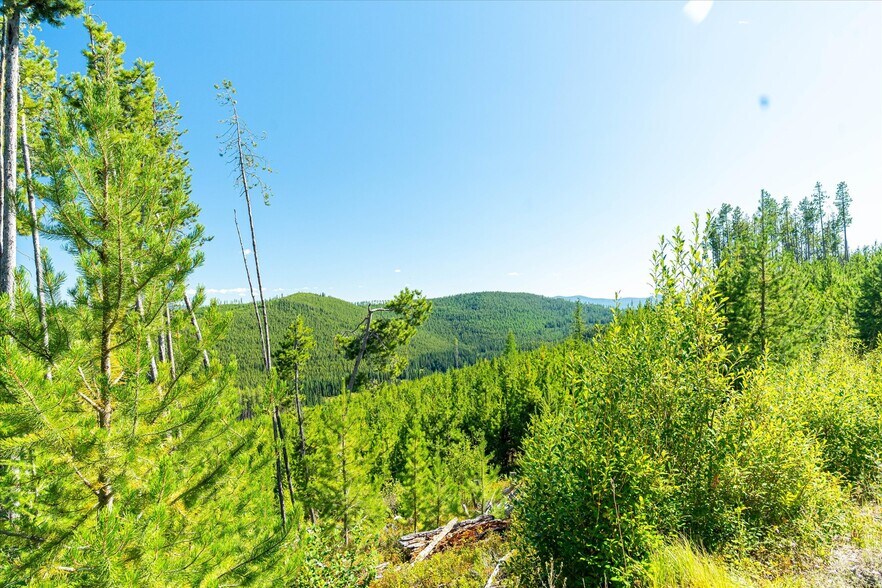 More Photos Of Nhn Logan Creek Road, Kila Land For Sale