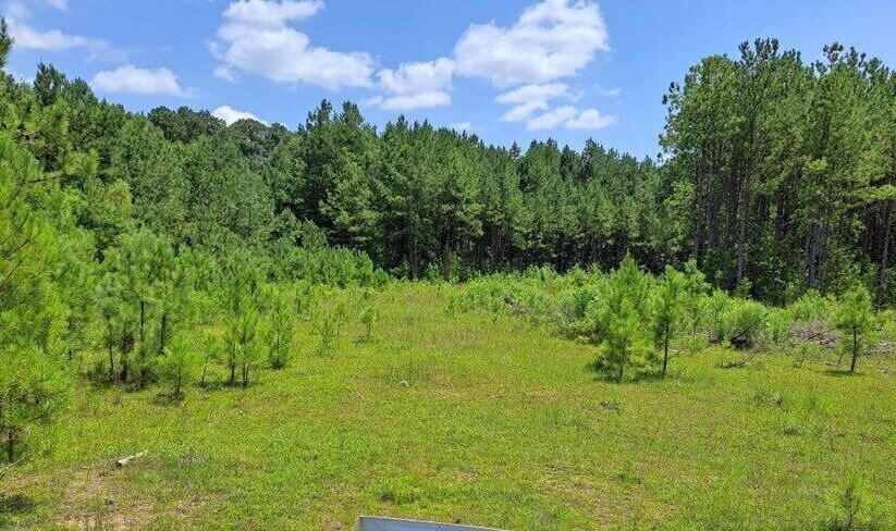 More Photos Of 00 US 49 Hwy, Mendenhall Land For Sale