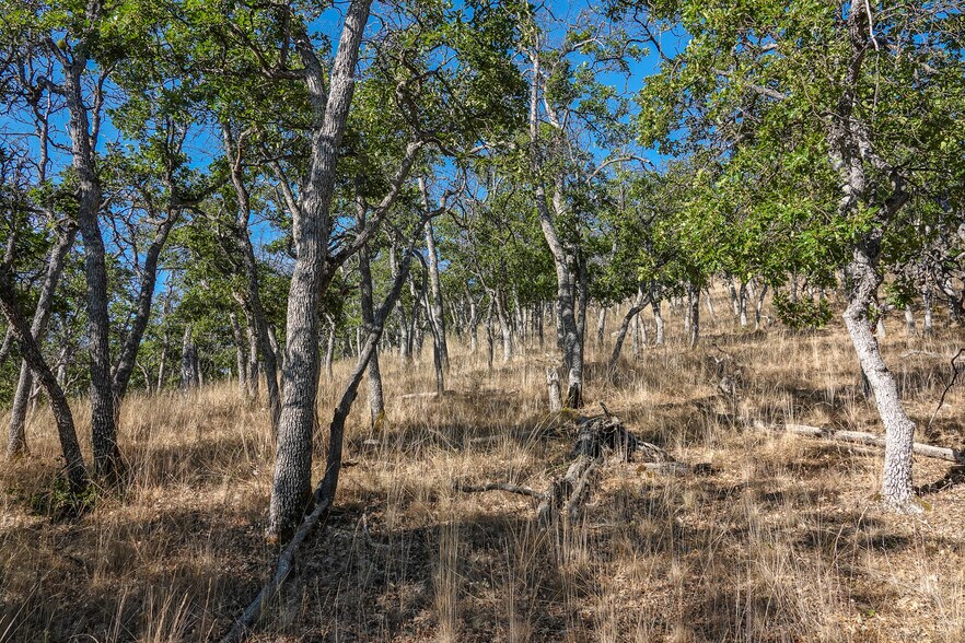 More Photos Of 0 East Rd, Fort Jones Land For Sale