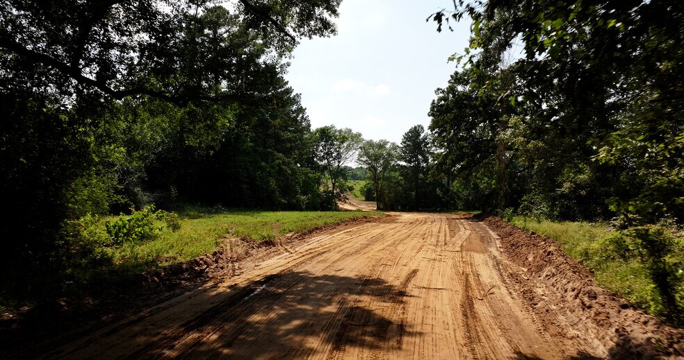 More Photos Of 2268 FM 1486, Montgomery Land For Sale