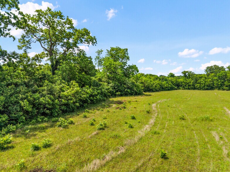 More Photos Of 10840 FM 442, Boling Land For Sale