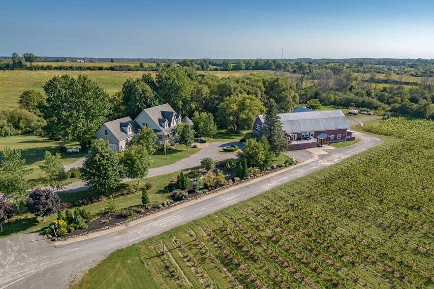 More Photos Of 46 Stapleton Rd, Hillier Winery Vineyard For Sale