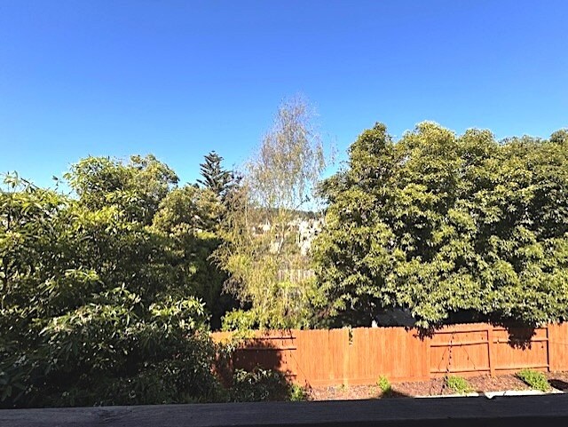 More Photos Of 1122 Clement St, San Francisco Storefront Retail Office For Lease