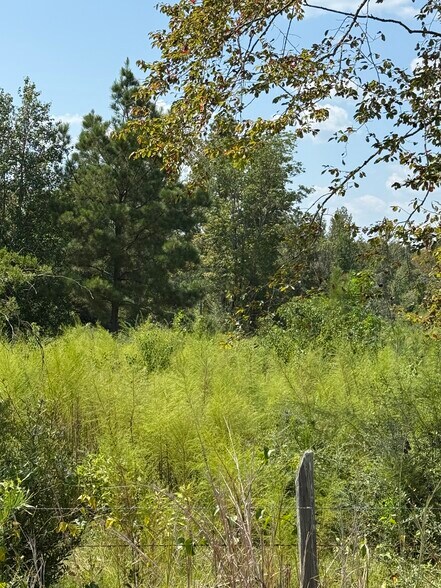 More Photos Of 0 ALEX Rd, Gloster Land For Sale