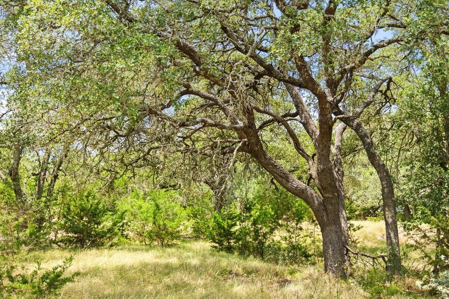 More Photos Of 1984 Grape Creek rd, Fredericksburg Specialty For Sale