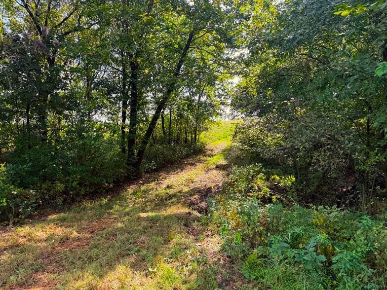 More Photos Of 17840 Golden Rd, Linwood Land For Sale