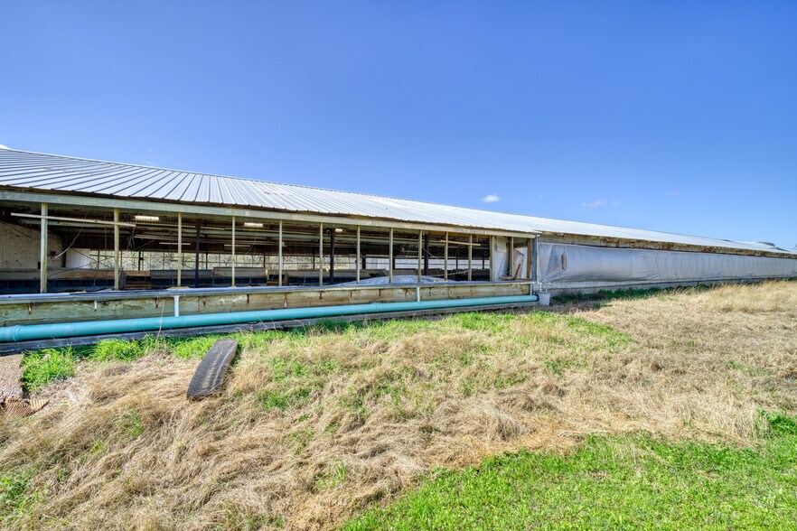 More Photos Of 8370 County Road 150, Somerville Land For Sale