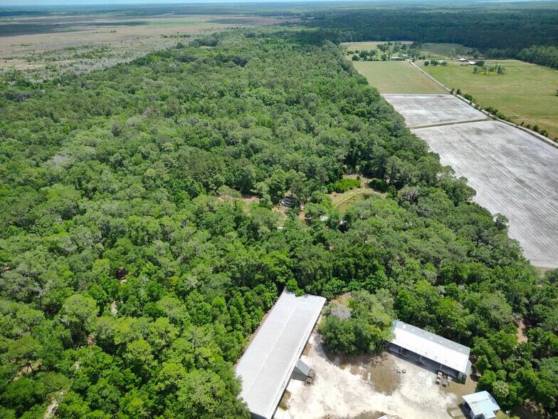 More Photos Of 106 SW 109th Pl, Micanopy Land For Sale