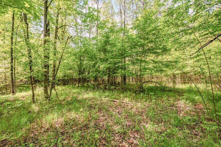 More Photos Of V/L 220th Ave, Big Rapids Land For Sale