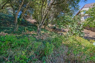 More Photos Of 614 Cragmont Ave, Berkeley Land For Sale