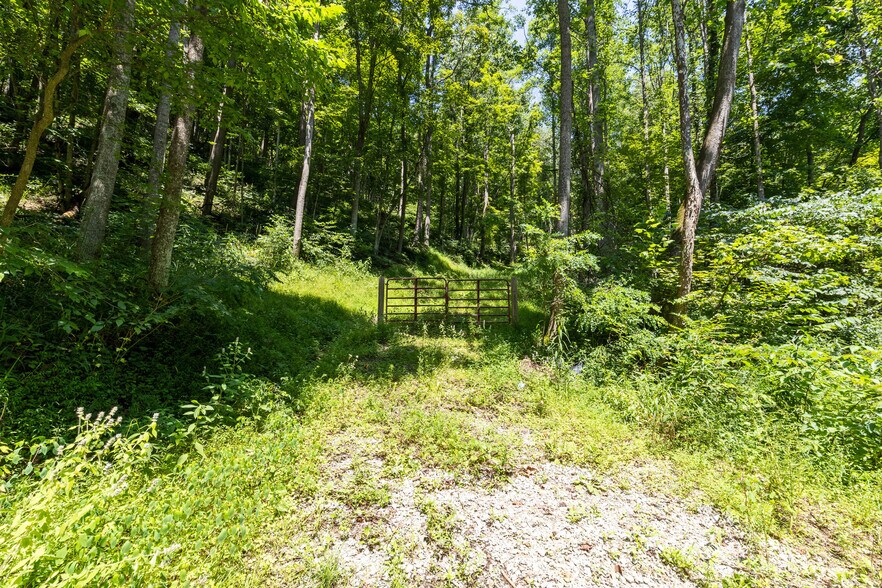 More Photos Of 24272 CONRAD Rd, Laurelville Land For Sale