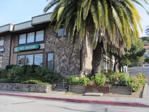 More Photos Of 4136 Redwood Hwy, San Rafael Office For Sale