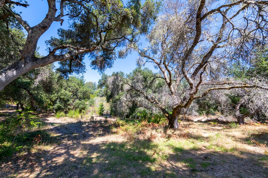 More Photos Of 2372 McKenzie Creek rd, Scotts Valley Land For Sale