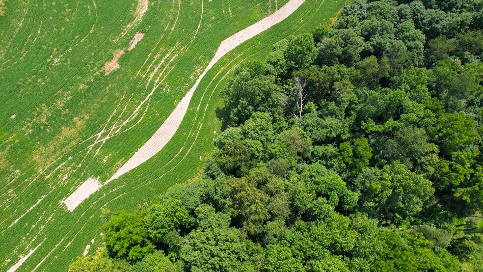 More Photos Of 0 Coffman Rd, Borden Land For Sale