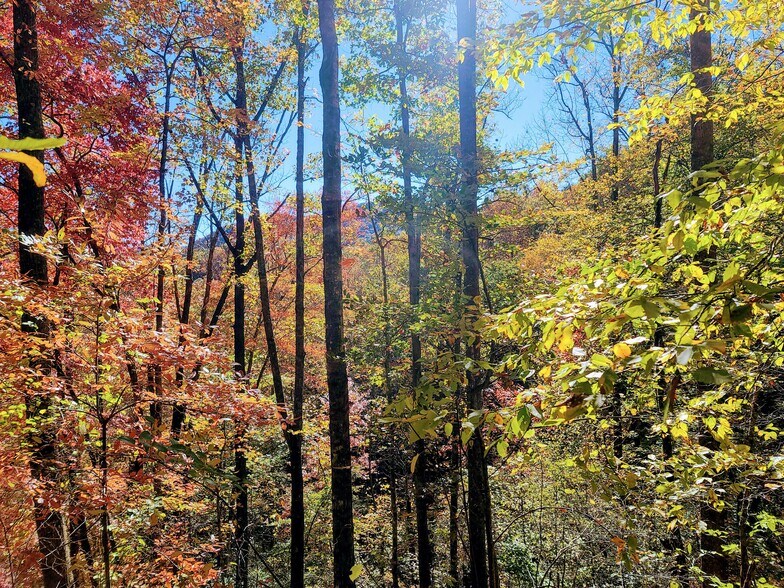 More Photos Of 00 Bettys Creek, Sylva Land For Sale