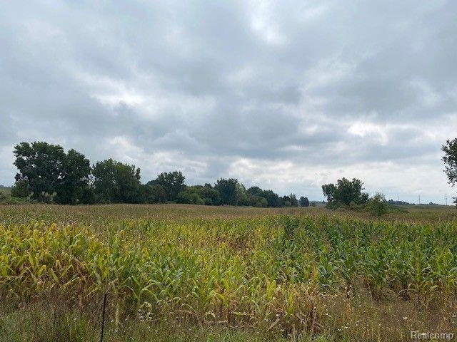 More Photos Of 7451 Fostoria rd, Mayville Land For Sale