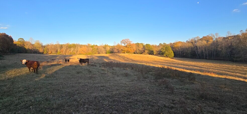 More Photos Of 7634 Seminole Trl, Ruckersville Land For Sale