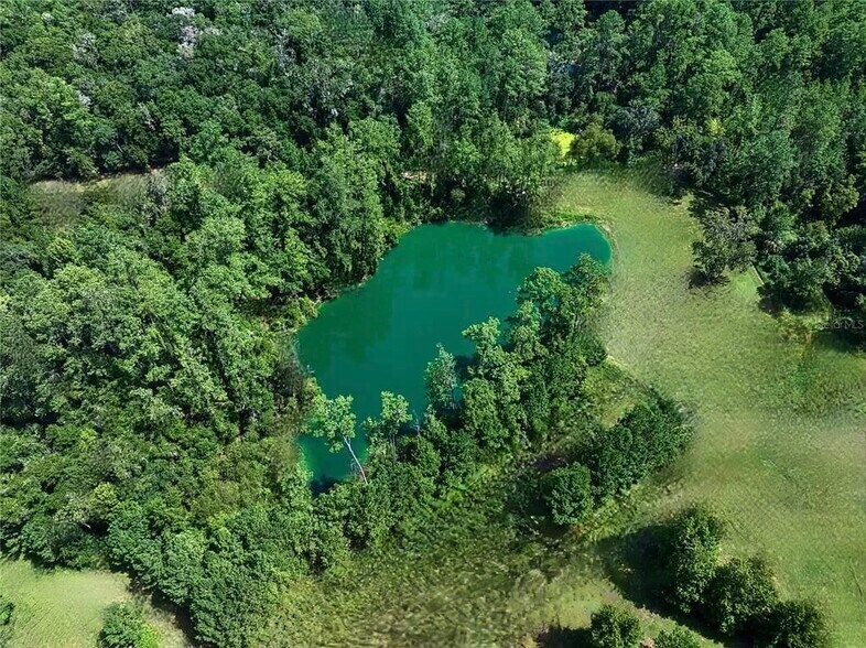 More Photos Of 7780 N Whippoorwill Ter, Hernando Sports And Entertainment For Sale