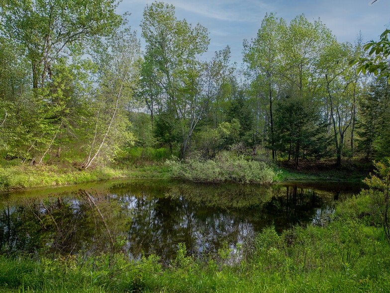 More Photos Of 1 Snow Hill Rd, Parksville Land For Sale