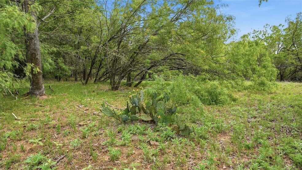 More Photos Of TBD Reids Bend rd, Bastrop Land For Sale