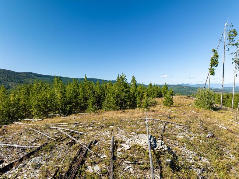 More Photos Of Nhn Logan Creek Road, Kila Land For Sale