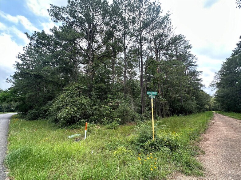 More Photos Of 19&20 Appian Way, New Caney Land For Sale