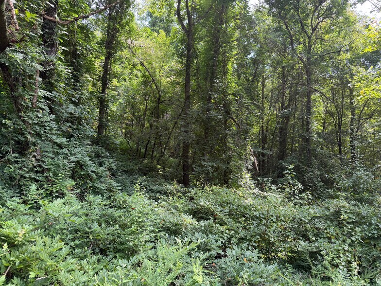 More Photos Of Fuller Mountain Rd, Fairmount Land For Sale