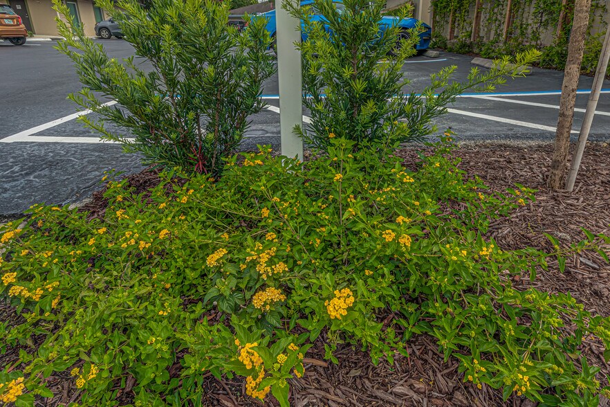 More Photos Of 119 W Plymouth Ave, Deland Unknown For Lease