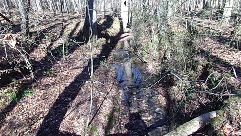 Primary Photo Of 41 ACRES Hwy 55 Hwy, Clover Land For Sale