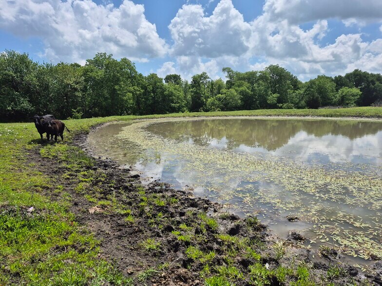 More Photos Of 9561 N TX-50 Hwy, Ladonia Land For Sale