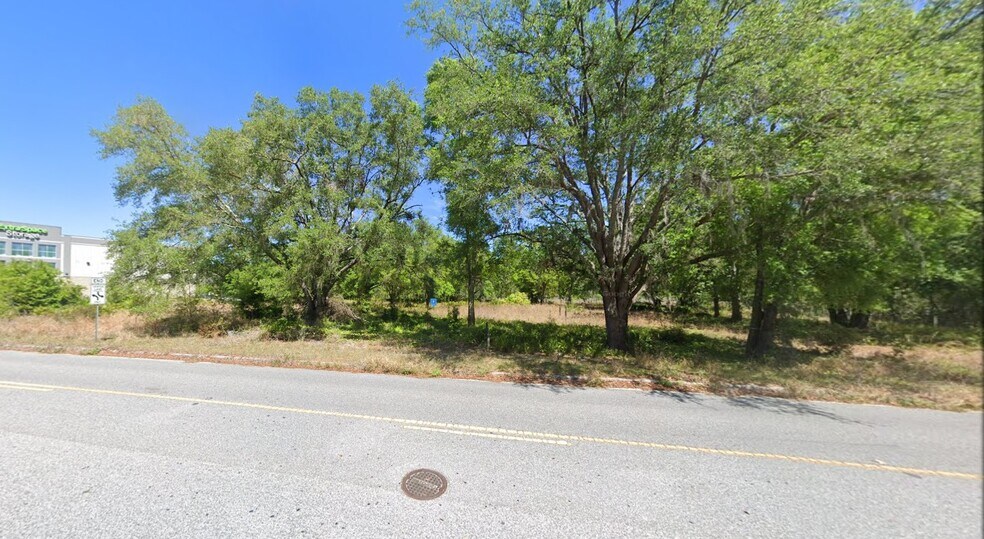 More Photos Of 27561 Dayflower Boulevard, Wesley Chapel Land For Sale