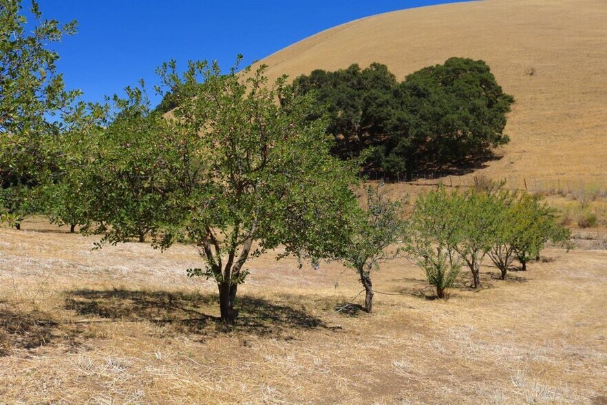 More Photos Of 32800 Johnson Canyon Rd, Gonzales Land For Sale