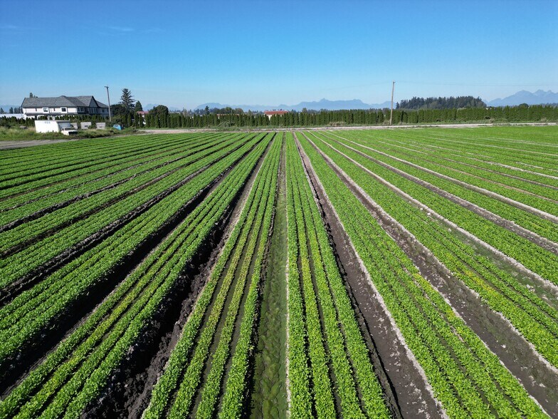 More Photos Of 4444 168 St, Surrey Land For Sale