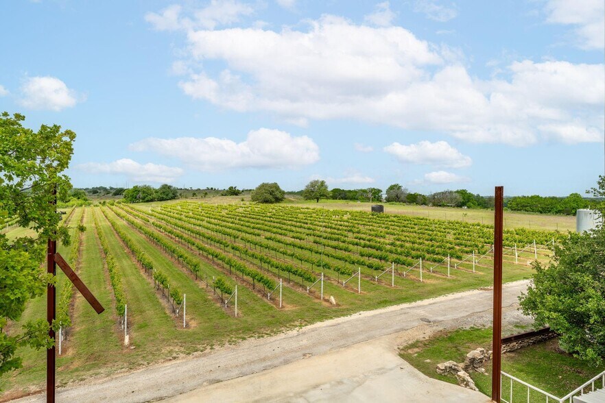 More Photos Of 675 County Road 497, Dublin Winery Vineyard For Sale