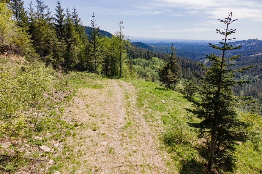 More Photos Of 0 Snag Mountain Road, Washougal Land For Sale
