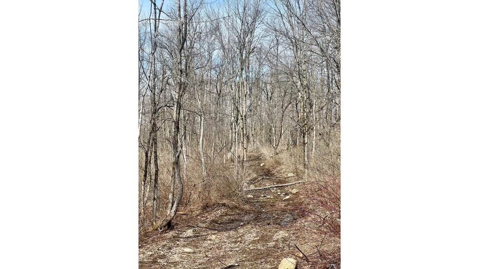 More Photos Of 1601 NY-29, Little Falls Land For Sale