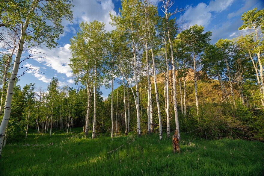 More Photos Of 22090 Co 212 rd, Oak Creek Land For Sale