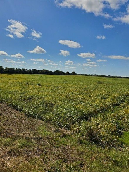 More Photos Of 18625 158th St, Basehor Land For Sale